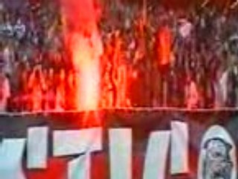 Tigris Mystic crakage