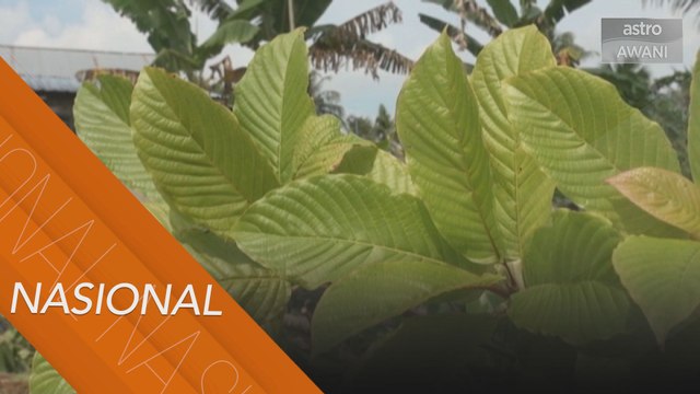 Polis Perlis, Felda, ambil inisiatif kurangkan penyeludupan