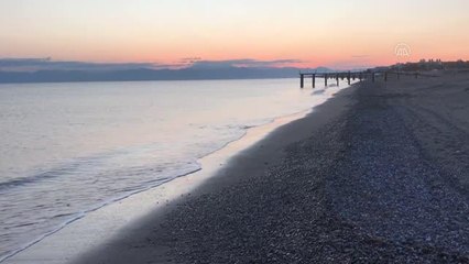 Antalya'da binlerce denizanası kıyıya vurdu