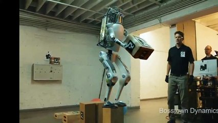 Robôs também perdem a paciência