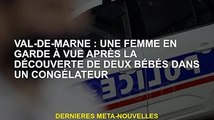 Val-de-Marne : Une femme interpellée par la police après la découverte de deux bébés dans un frigo