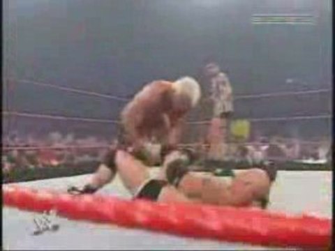 Goldberg vs Ric Flair (Referee Randy Orton
