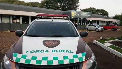 Mulher representa contra irmão após ser agredida na Colônia Esperança