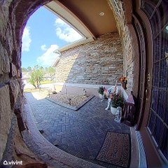 Unexpected Visitor Licks My Doorbell Camera