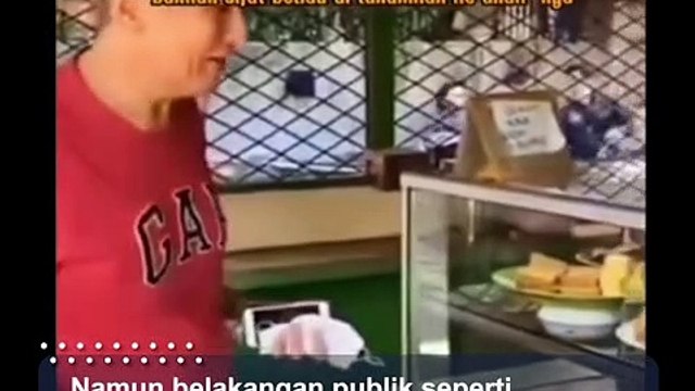 Viral Momen Bos Jalan Tol Jusuf Hamka Santai Makan di Warteg