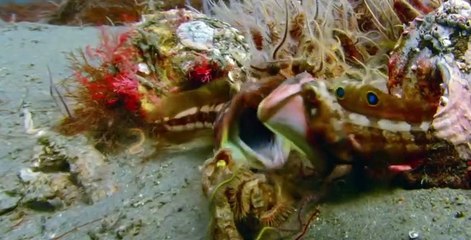 Secrets of Skin S01 E01