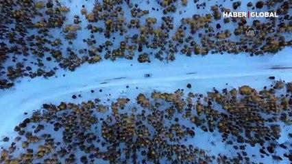 Yerli otomobil TOGG karlı yollara çıktı