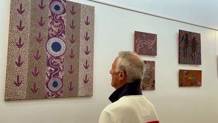 ILLAWARRA MERCURY Aboriginal Art Trail