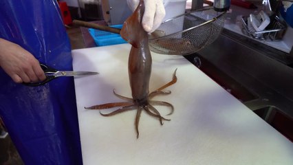 Squid, gizzard shad, sashimi, Korean street food
