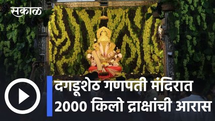Pune l दगडूशेठ गणपती मंदिरात 2000 किलो द्राक्षांची आरास l Sakal