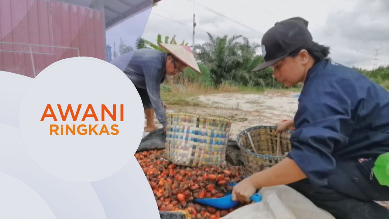 AWANI Ringkas: Kerajaan pertimbang beri permit kerja sementara kepada PATI | RM200 juta atasi pencemaran sungai di Selangor