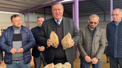 CHP'li vekilden şekere zam açıklaması: Özel sektör fiyatlandırma peşine düştü bu da vatandaşa zam olarak yansıyacak