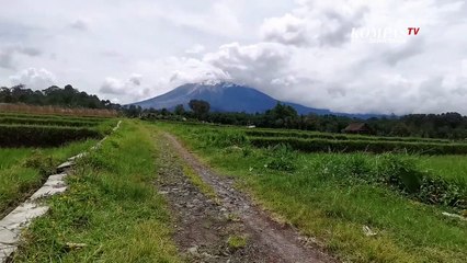 Gunung Semeru Luncurkan Awan Panas 3,5 Kilometer