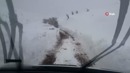 3 bin rakımlı Mereto Dağı eteklerinde hastalanan 2 çocuğa 8 saatte ulaşıldı