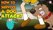 How To Survive A Dog Attack? | Preventing Dog Bites | The Dr Binocs Show | Peekaboo Kidz