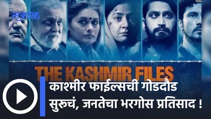 The Kashmir Files Box Office Day 10 : काश्मीर फाईल्सची गोडदौड सुरूचं, जनतेचा भरगोस प्रतिसाद
