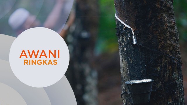 AWANI Ringkas: Harapan penoreh getah menjelang Belanjawan 2021