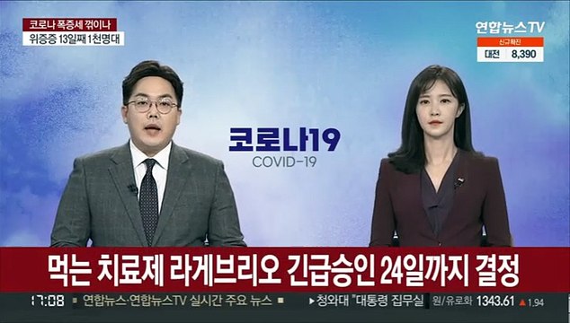 먹는 치료제 라게브리오 긴급승인 24일까지 결정