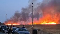 A 1km sq wildfire sweeps through the Parkgate nature reserve in Wirral