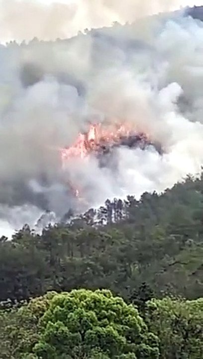 Chine: Un Boeing 737 de China Eastern Airlines avec 133 personnes à bord s'est écrasé dans le sud-ouest du pays - VIDEO
