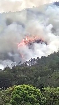 Chine: Un Boeing 737 de China Eastern Airlines avec 133 personnes à bord s'est écrasé dans le sud-ouest du pays - VIDEO