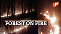 WATCH | Fire Engulfs Large Tracts Of Forest In Odisha
