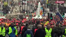 El campo pide ayudas urgentes en una masiva manifestación en Madrid