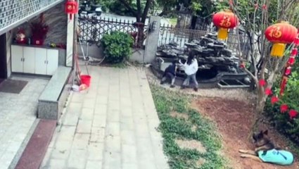 Çocuk, topu almak için havuza yöneldi; o esnada köpeğin yaptığına inanamayacaksınız