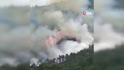 Çin'de 132 kişiyi taşıyan yolcu uçağı düştü