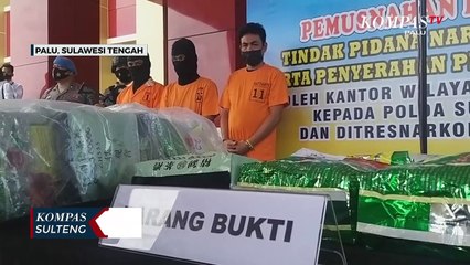 Polda Sulteng Musnahkan Sabu 29 Kilogram
