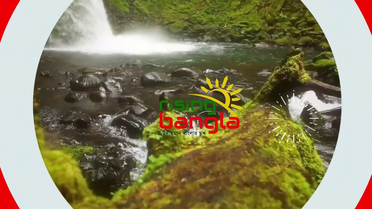 জান্নাত কেমন হবে? Jannat সম্পর্কে অজানা বেশ কিছু কথা | Islam say about Paradise? | Rising Bangla