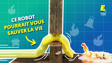 Ce robot pourrait vous sauver la vie