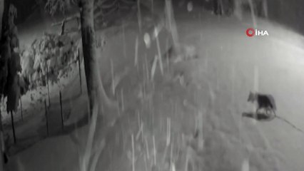 Sakarya'da korkutan anlar: Hepsi şehre indi