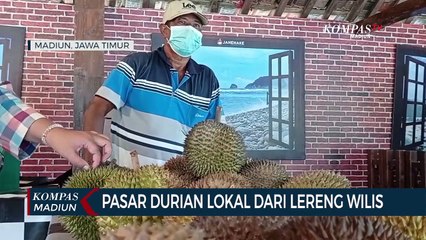 Télécharger la video: Pasar Durian Lokal Dari Lereng Wilis