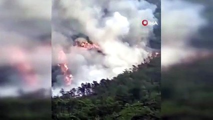 Çin'de 133 kişiyi taşıyan yolcu uçağı düştü