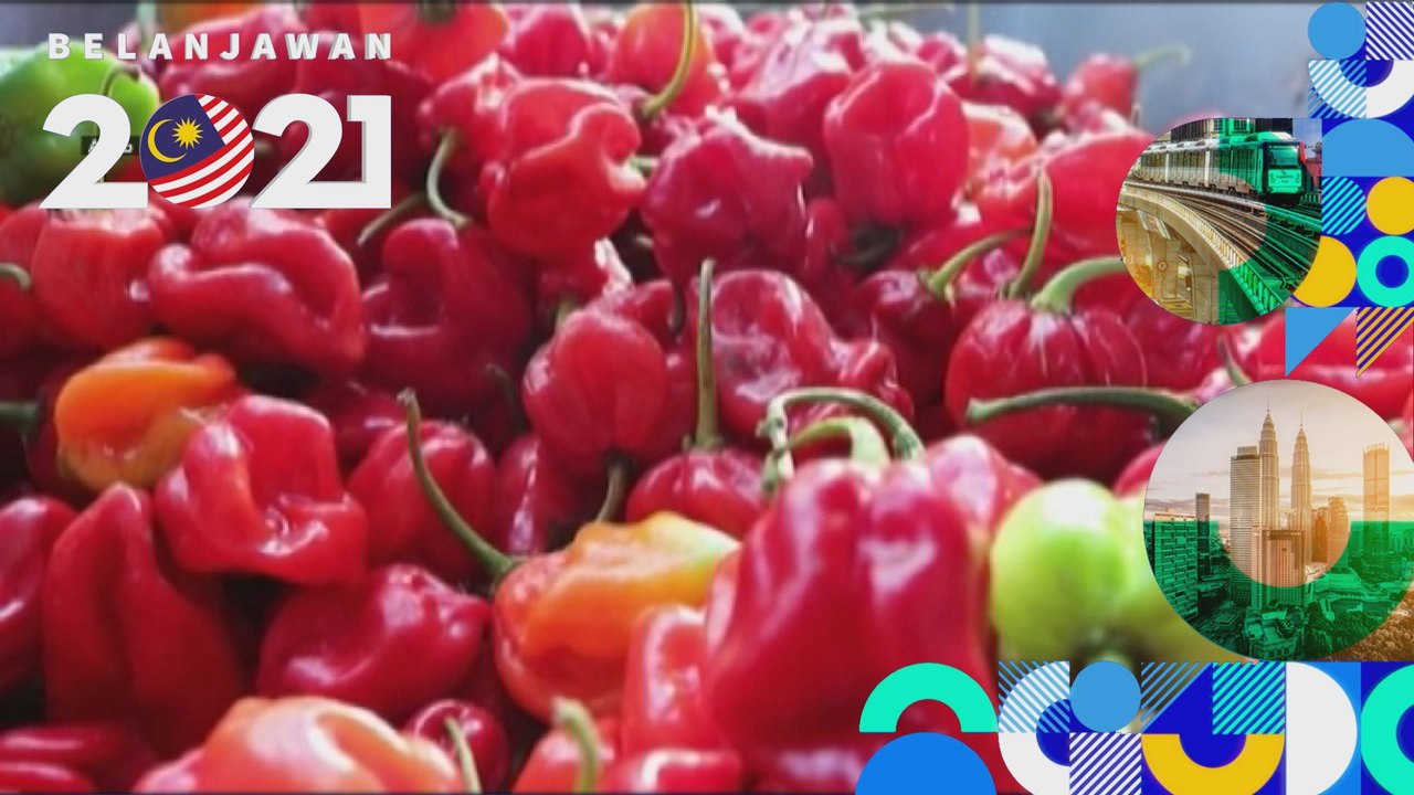 Belanjawan 2021: Kerajaan disaran wujud pasukan petugas tangani krisis keselamatan makanan