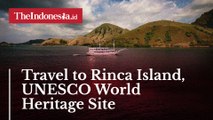 Travel to Rinca Island, UNESCO World Heritage with Captivating Nature