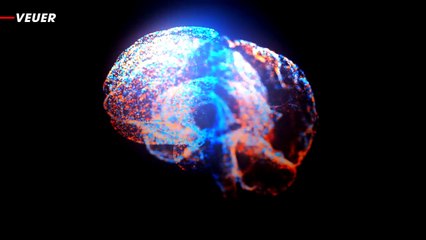 Human Skulls Have Dedicated Tunnels Straight to Our Brains