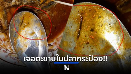 ผงะ! ชาวบ้านปราจีนบุรีเจอตะขาบในปลากระป๋อง (มีคลิป)
