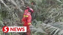 Rescuers assembled to plane crash site in south China