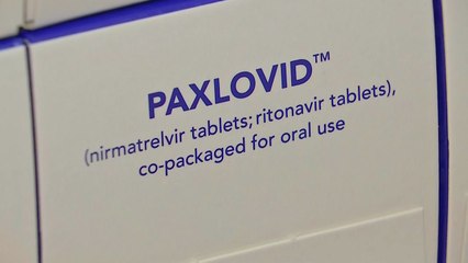 팍스로비드 8만7천여 명에 투약...이달 말 추가 도입 추진 / YTN