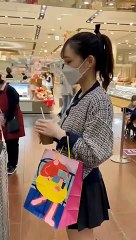 vidéos de chat / Cat Videos