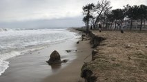 Sakarya’da kıyı erozyonu: 20 metrelik aşınma oldu