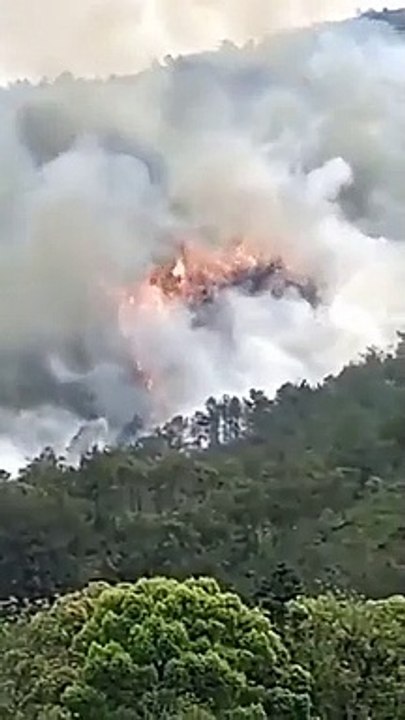 China Plane Crashed Video 2022