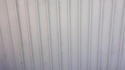 Schoolies for Media Only