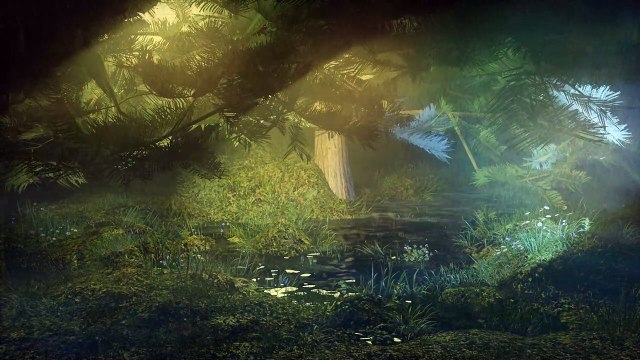 Rain in the swamp forest at night - Nature Landscape