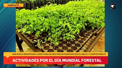 Actividades por el Día Mundial Forestal