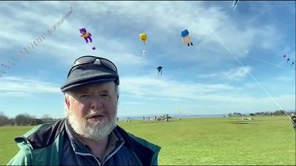 Kites In Bo'ness