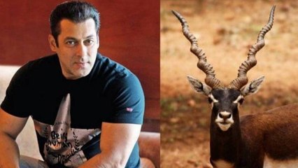 Tải video: Blackbuck Poaching Case: Salman Khan के लिए राहत भरी खबर, ट्रांसफर याचिका को मिली मंजूरी । FilmiBeat