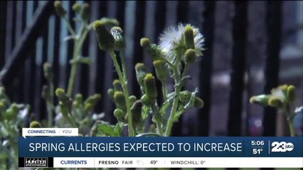 Experts: Spring allergies expected to increase